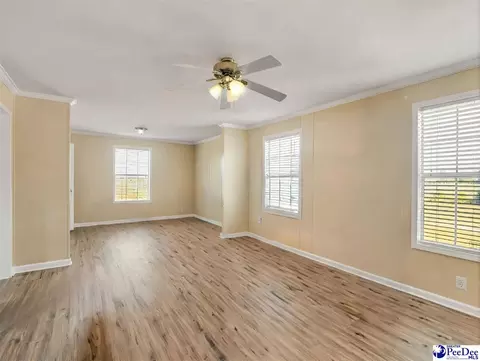488 Bailey Sawmill Rd, Ruby, SC 29741 photo 21