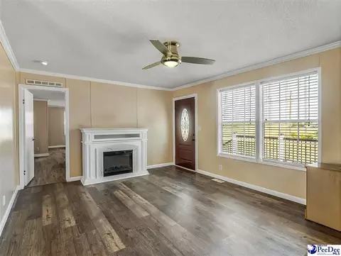 488 Bailey Sawmill Rd, Ruby, SC 29741 photo 9