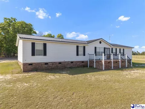 488 Bailey Sawmill Rd, Ruby, SC 29741 photo 3