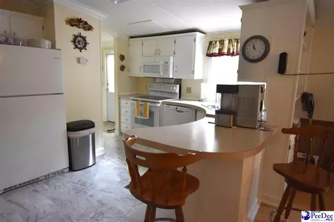 1255 Devaney Cir, Summerton, SC 29148 photo 11