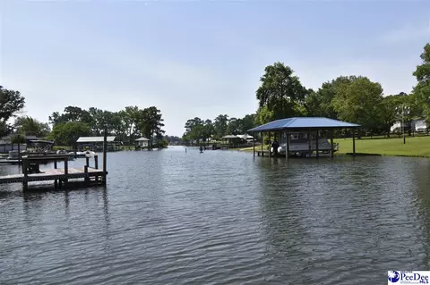 1255 Devaney Cir, Summerton, SC 29148 photo 42