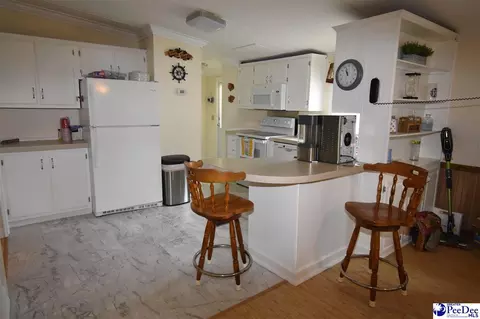 1255 Devaney Cir, Summerton, SC 29148 photo 12