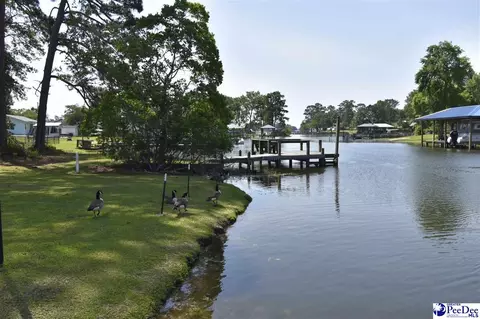 1255 Devaney Cir, Summerton, SC 29148 photo 40