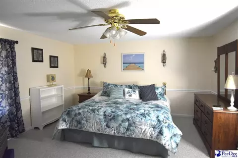 1255 Devaney Cir, Summerton, SC 29148 photo 21