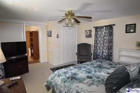 1255 Devaney Cir, Summerton, SC 29148 photo 22