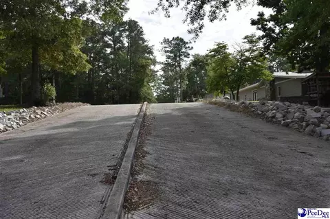 1255 Devaney Cir, Summerton, SC 29148 photo 44