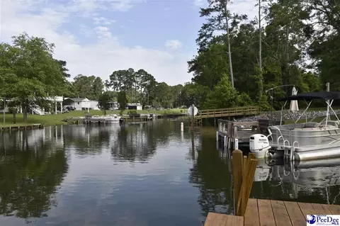 1255 Devaney Cir, Summerton, SC 29148 photo 36