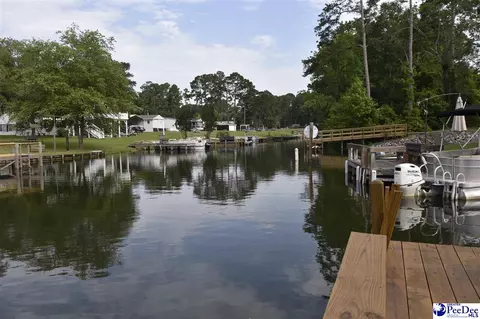 1255 Devaney Cir, Summerton, SC 29148 photo 35