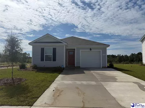 575 Strawberry Field Way, Galivants Ferry, SC 29544