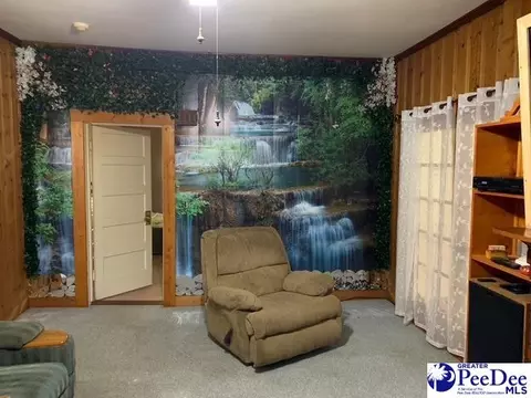 2100 Nesmith Rd, Nesmith, SC 29580 photo 18