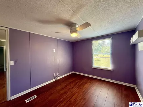Other - 2252 Jake Dr, Dillon, SC 29536 photo 29 of 30