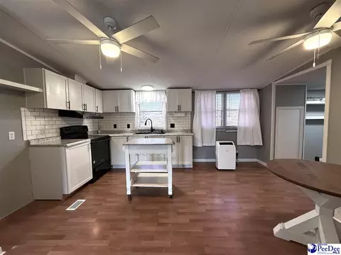 Other - 2252 Jake Dr, Dillon, SC 29536 photo 13 of 30