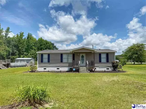 Exterior - 2252 Jake Dr, Dillon, SC 29536 photo 1 of 8