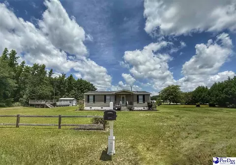 Other - 2252 Jake Dr, Dillon, SC 29536 photo 1 of 30