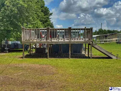 Other - 2252 Jake Dr, Dillon, SC 29536 photo 6 of 30