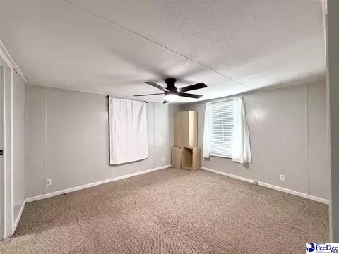 Other - 2252 Jake Dr, Dillon, SC 29536 photo 17 of 30