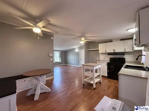 Other - 2252 Jake Dr, Dillon, SC 29536 photo 15 of 30