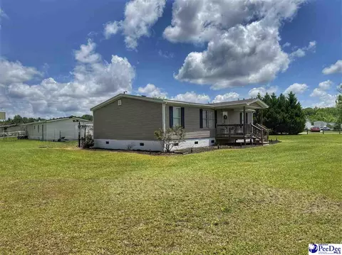 Other - 2252 Jake Dr, Dillon, SC 29536 photo 7 of 30