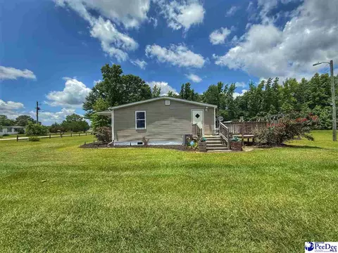 Other - 2252 Jake Dr, Dillon, SC 29536 photo 4 of 30