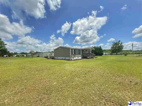 Exterior - 2252 Jake Dr, Dillon, SC 29536 photo 7 of 8