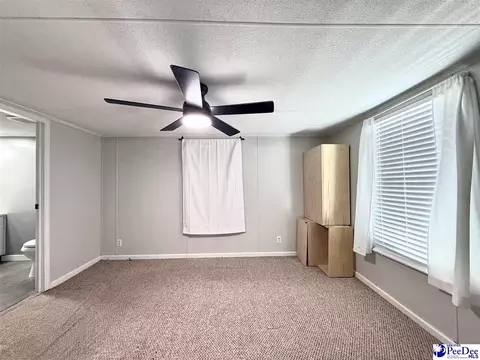 Other - 2252 Jake Dr, Dillon, SC 29536 photo 19 of 30