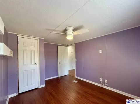 Other - 2252 Jake Dr, Dillon, SC 29536 photo 28 of 30