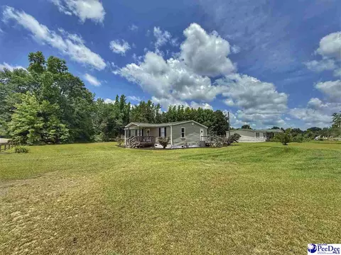 Other - 2252 Jake Dr, Dillon, SC 29536 photo 3 of 30