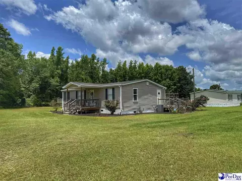 Other - 2252 Jake Dr, Dillon, SC 29536 photo 2 of 30