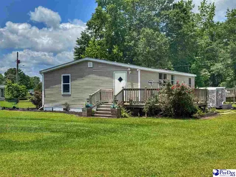 Other - 2252 Jake Dr, Dillon, SC 29536 photo 5 of 30