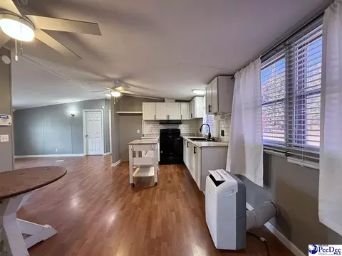 Other - 2252 Jake Dr, Dillon, SC 29536 photo 11 of 30