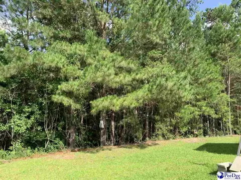 4050 Milan Rd, Florence, SC 29506 photo 42