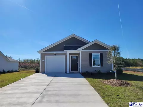 563 Strawberry Field Way, Galivants Ferry, SC 29544