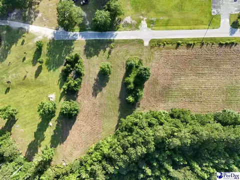 tbd 5 Commerce Dr, Dillon, SC 29536