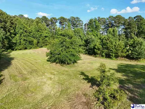 tbd 1 Commerce Dr, Dillon, SC 29536 photo 6