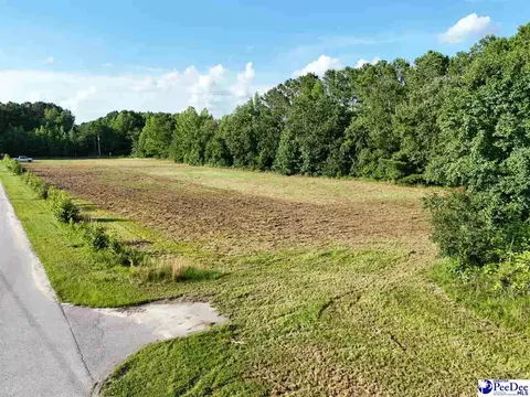 tbd 1 Commerce Dr, Dillon, SC 29536