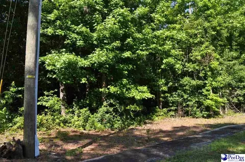 tbd Lots 1-7 Bundy St, Clio, SC 29525