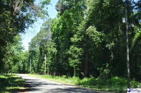 tbd Lot 3k 3l Branchwood Rd, Clio, SC 29525