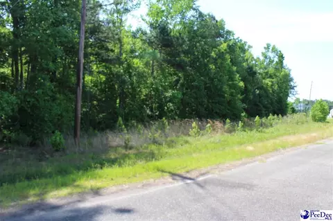 lot Galveston Ct, Marion, SC 29571