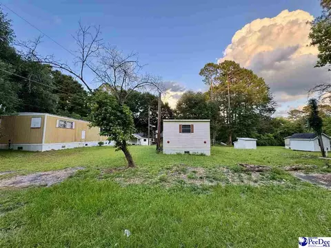 Exterior - 109 Tec Rd, Cheraw, SC 29520 photo 12 of 13