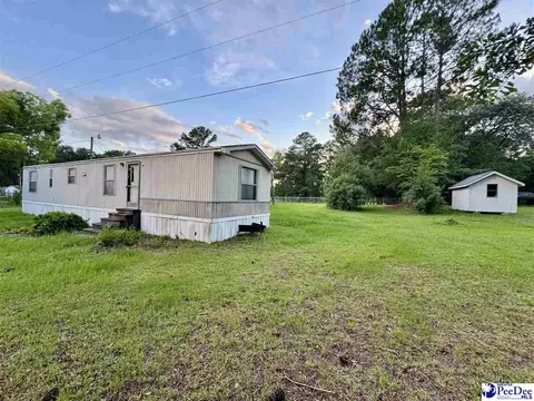 Exterior - 109 Tec Rd, Cheraw, SC 29520 photo 9 of 13