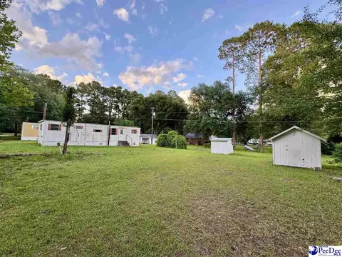 Exterior - 109 Tec Rd, Cheraw, SC 29520 photo 7 of 13