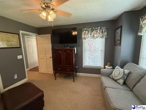 159 Ridge Rd, Cheraw, SC 29520 photo 20