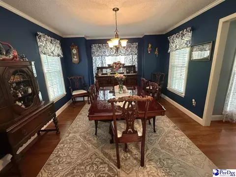159 Ridge Rd, Cheraw, SC 29520 photo 13