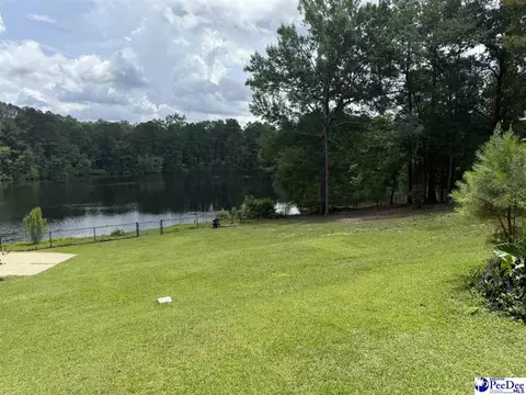 159 Ridge Rd, Cheraw, SC 29520 photo 44