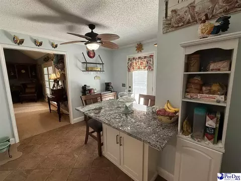 159 Ridge Rd, Cheraw, SC 29520 photo 18