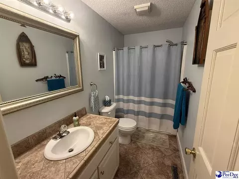 159 Ridge Rd, Cheraw, SC 29520 photo 22