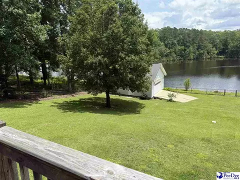 159 Ridge Rd, Cheraw, SC 29520 photo 41