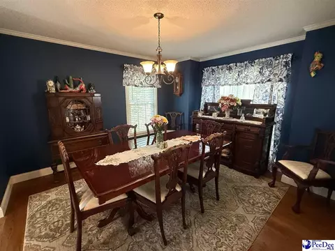 159 Ridge Rd, Cheraw, SC 29520 photo 11