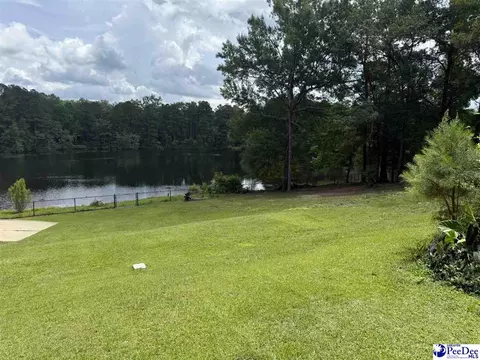 159 Ridge Rd, Cheraw, SC 29520 photo 43