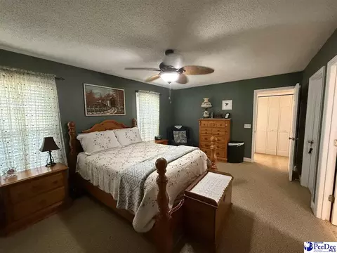 159 Ridge Rd, Cheraw, SC 29520 photo 31